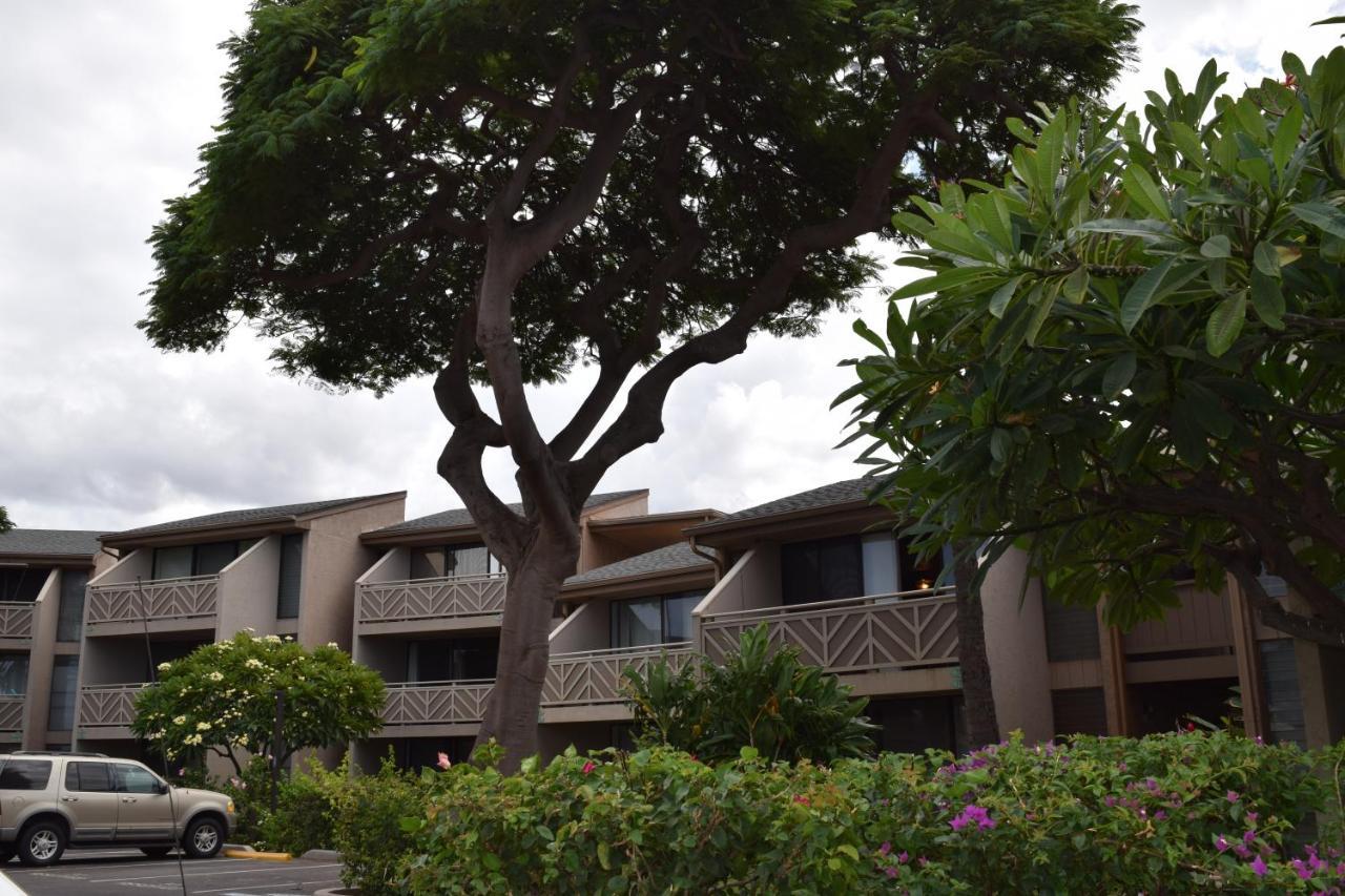 Kihei Holiday 116 Esterno foto